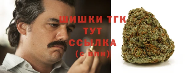 ешки Арсеньев